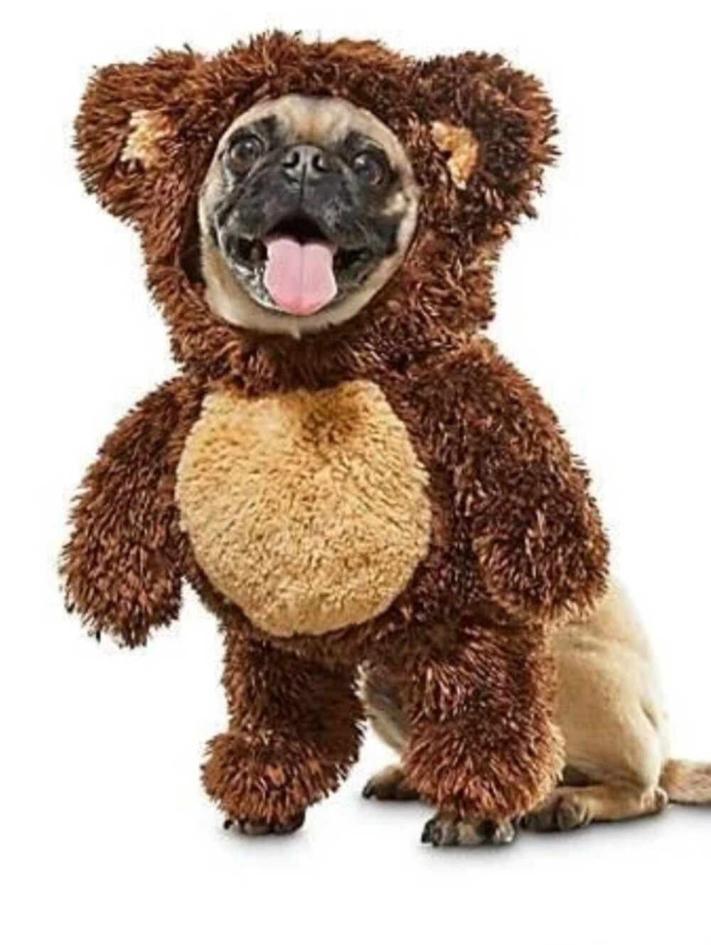 Bootique Plush Teddy Dog Costume , Large 17-19 Inches, NWT🧸
